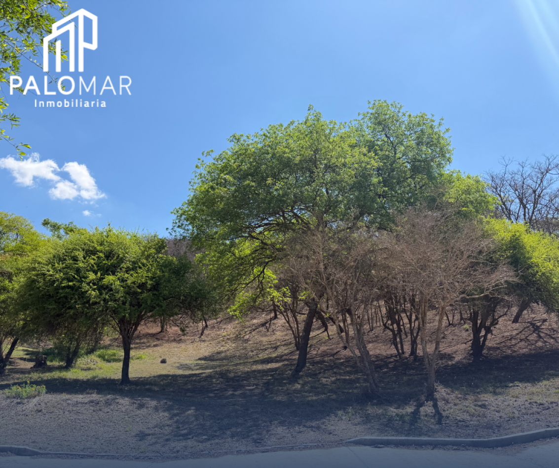 TERRRENO EN LA LUCINDA NORTE