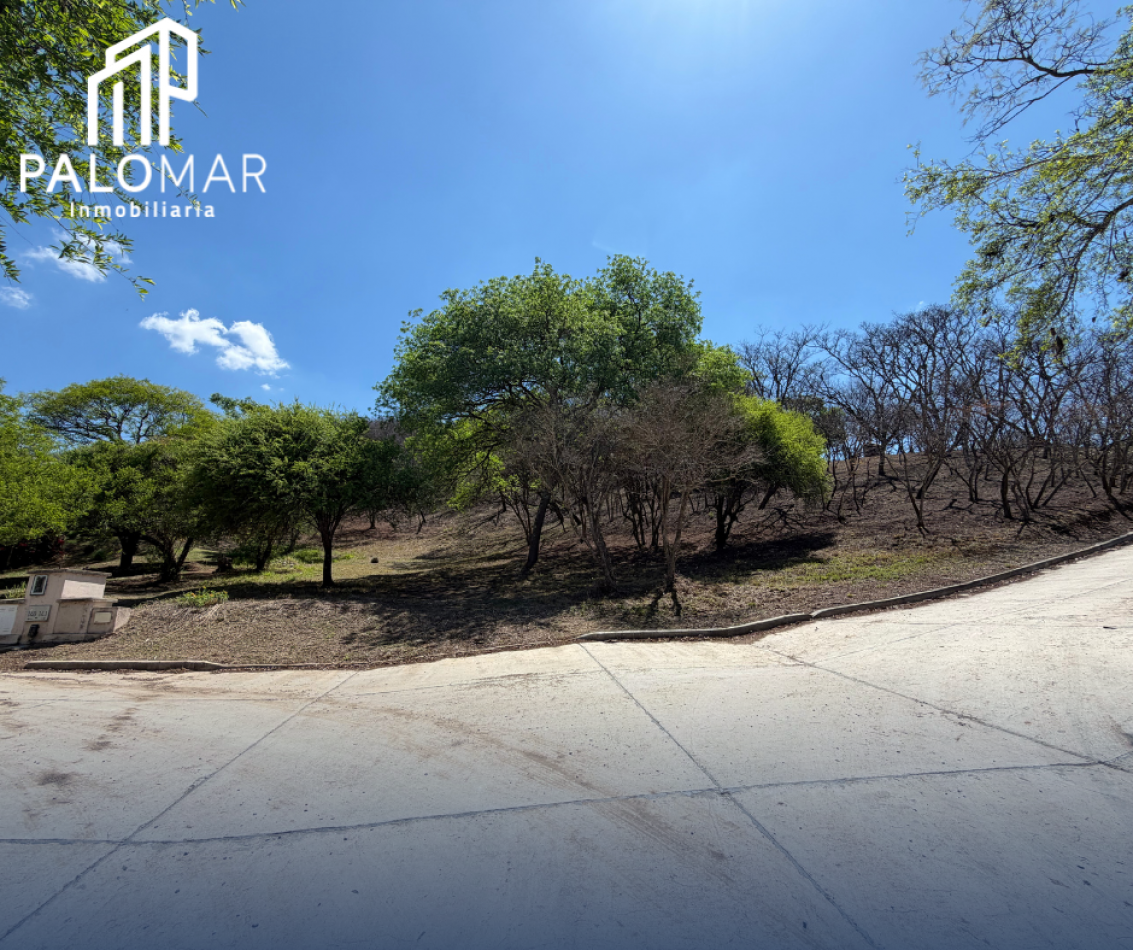 TERRRENO EN LA LUCINDA NORTE