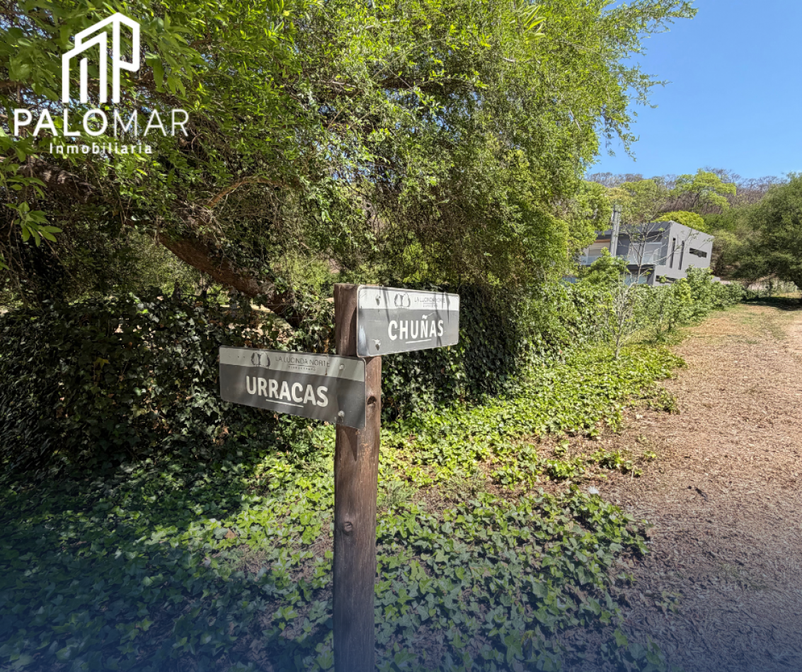 TERRRENO EN LA LUCINDA NORTE