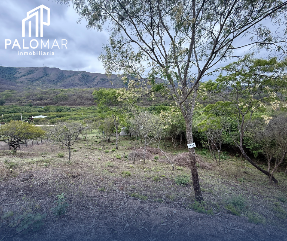 TERRENO EN VENTA EN LA MISION