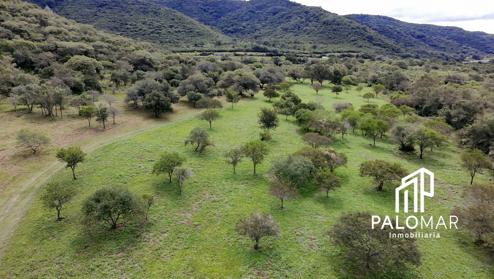 FINCA EN VENTA - RUTA 9 - LAS HIGUERILLAS (A 3 MINUTOS DE LA CIUDAD DE SALTA)