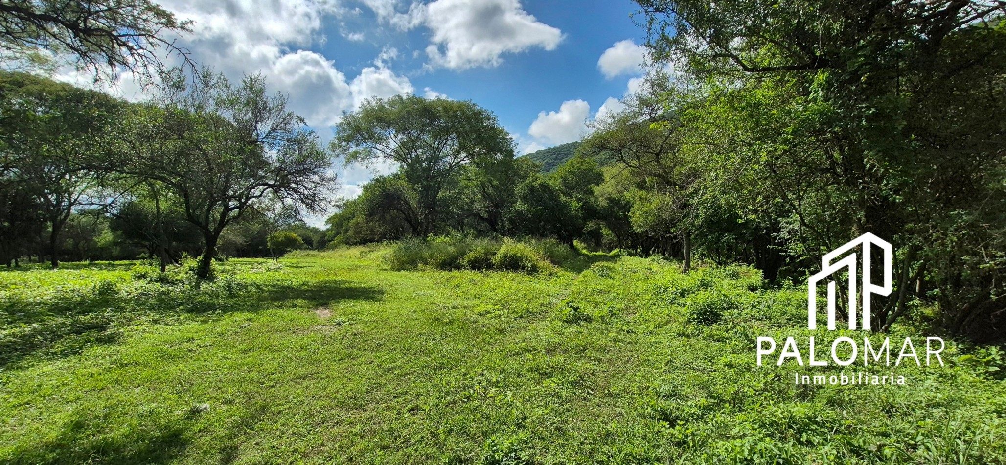 FINCA EN VENTA - RUTA 9 - LAS HIGUERILLAS (A 3 MINUTOS DE LA CIUDAD DE SALTA)