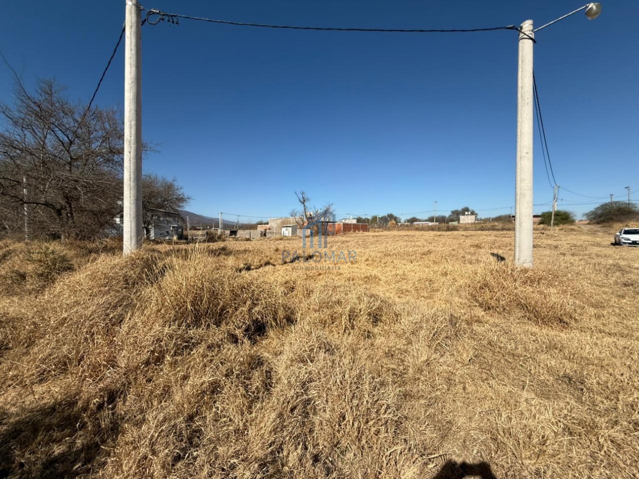 CERRILLOS - LOS ALGARROBOS