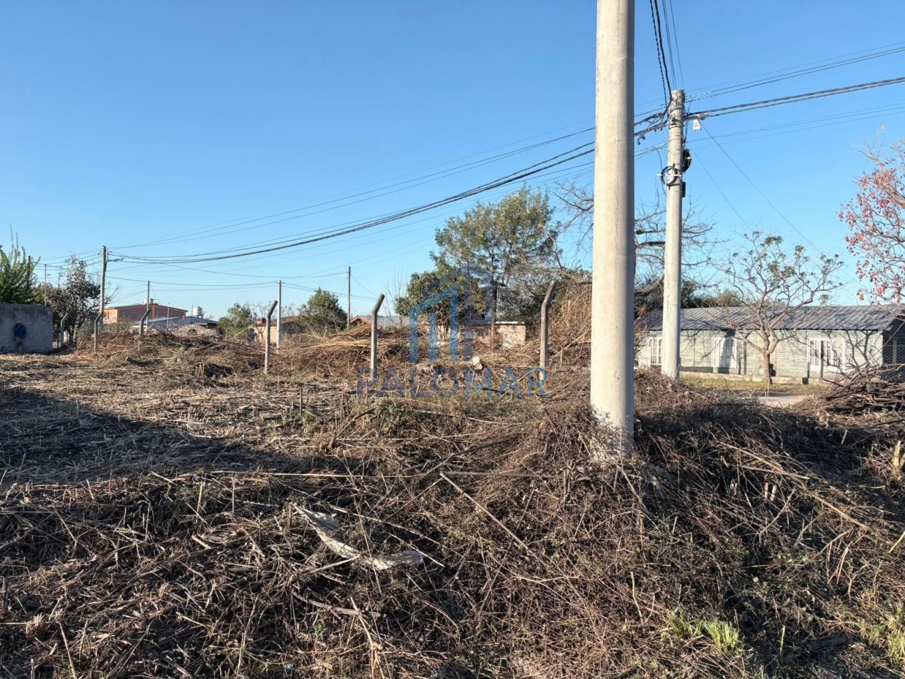TERRENO EN LOS ROBLES