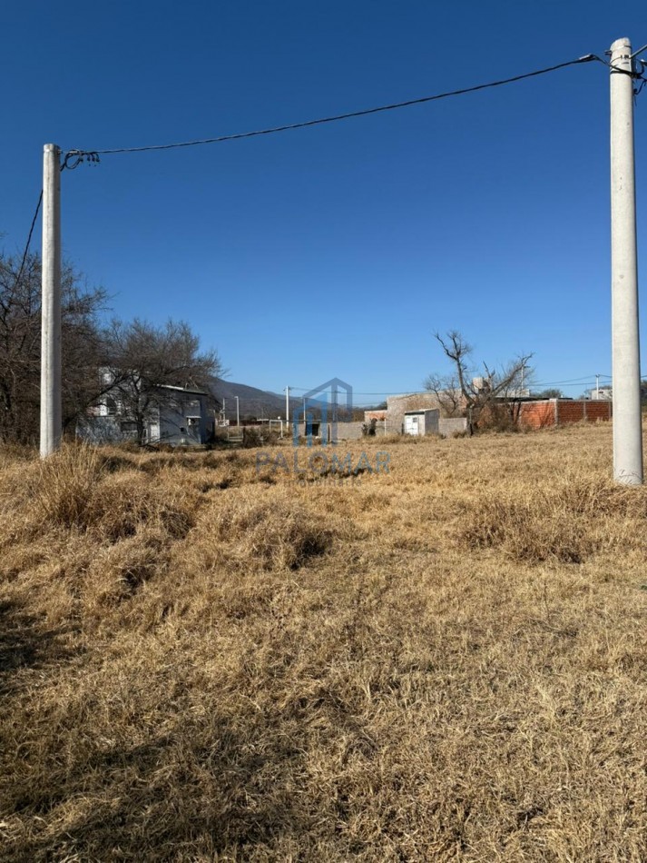 CERRILLOS - LOS ALGARROBOS