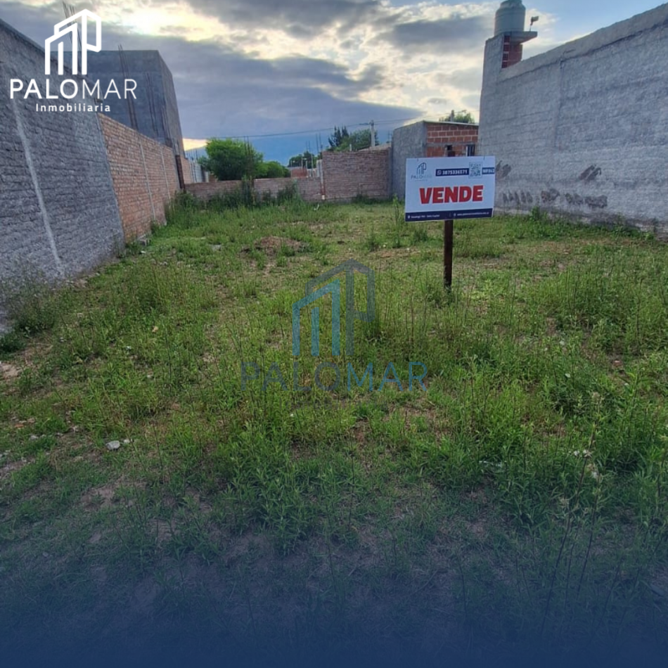 TERRENO EN CERRILLOS CIUDAD DE LA ZAMBA