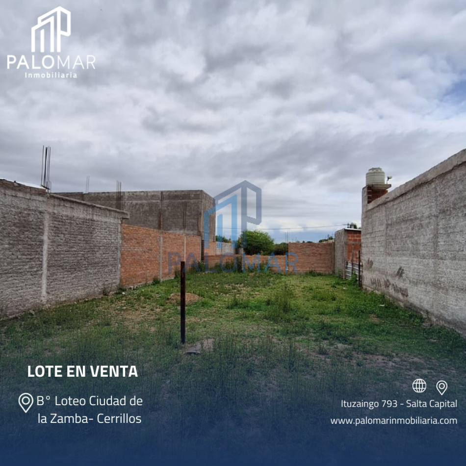 TERRENO EN CERRILLOS CIUDAD DE LA ZAMBA