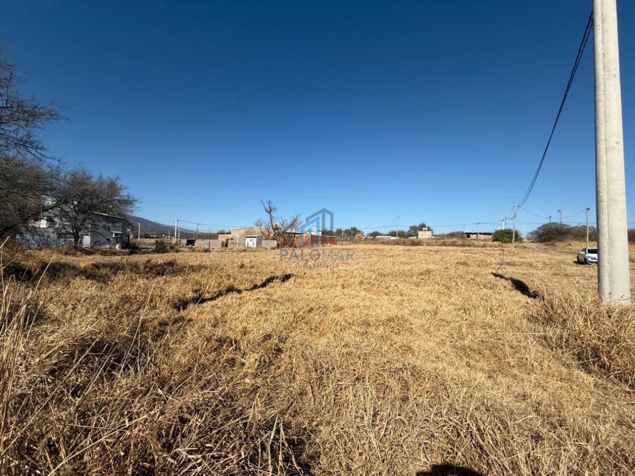 CERRILLOS - LOS ALGARROBOS