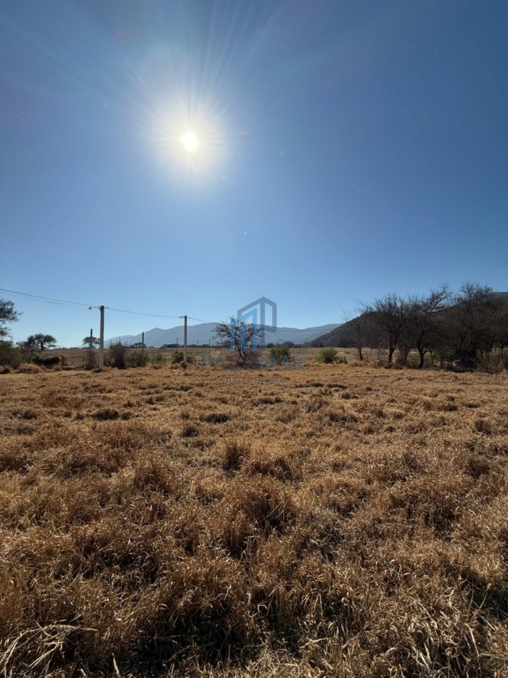 CERRILLOS - LOS ALGARROBOS
