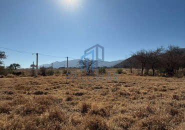 CERRILLOS - LOS ALGARROBOS